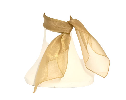 Gold Organza Neck Scarf